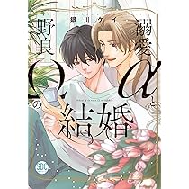 訳ありαと迷子Ωの結婚 訳ありαと迷子Ωの結婚（秋水デジタルコミックス） | 銀川ケイ